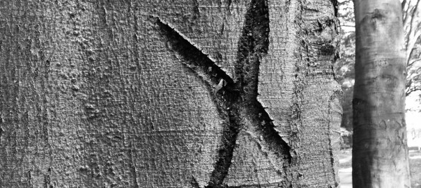 Look, it's still marked with a cross